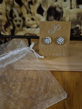 Plunder Volleyball Black & White Striped Round Stud Earrings